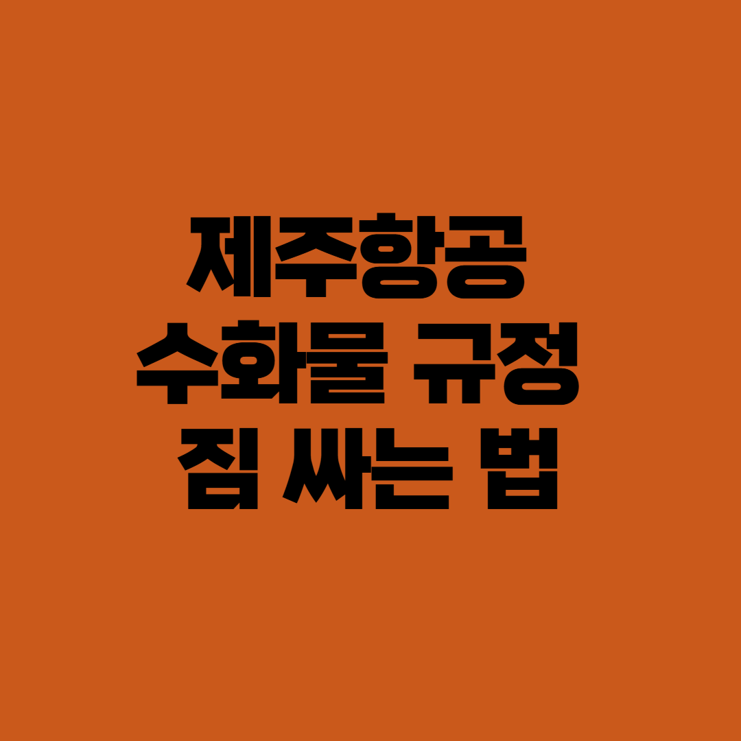 제주항공 수화물 규정